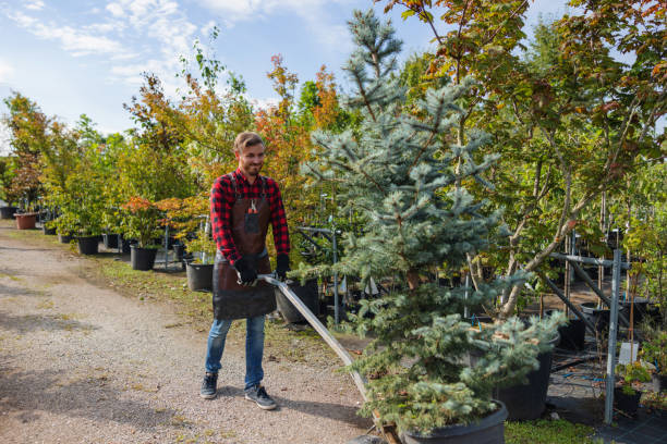 Best Leaf Removal  in Bladensburg, MD